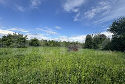 Teren intravilan, de vanzare, 1500 mp, zona Simeria - 2