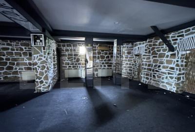 Casa de Piatra , 675 mp, cladire emblematica din centrul - 3