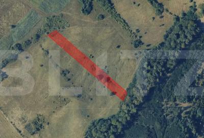 Teren în Central - 1