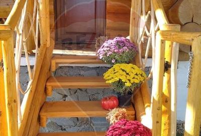 Hotel/Pensiune, de 240 mp, în Costești (Albac) - 15