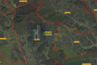 Teren de vânzare – 9.845 mp în mijlocul naturii, Aluniș, Prahova - 4