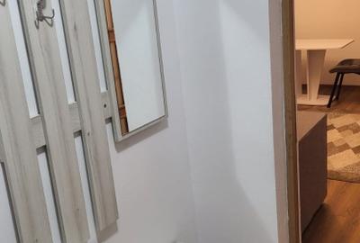 Apartament cu 2 camere semidecomandat, mobilat în Lazaret - 7