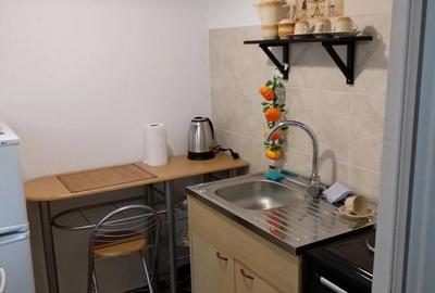 Apartament cu 2 camere semidecomandat în Brotăcei - 1