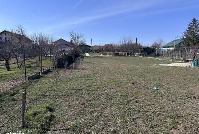 Teren de 3000 mp, în Mischii - 8