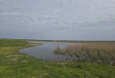 Spațiu comercial, în Crunți - 2