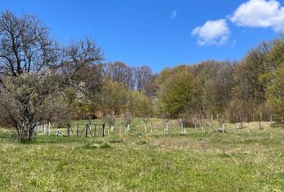 Teren de 3600 mp, în Exterior Vest - 3