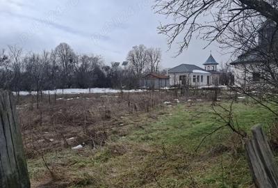 Casă cu Teren 2000 Mp în Cuza Vodă - 2