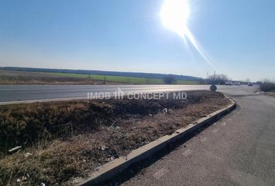Vanzare Teren Extravilan 11000 mp, in Aricestii Rahtivani, Jud Prahova - 9