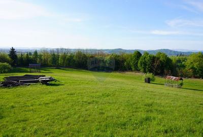 Teren 38,592mp Sighetu Marmatiei / Strada Mocanitei - 9