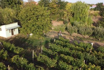 Teren intravilan Tecuci/Podgorie si Pomi Fructiferi/5000 mp - 10