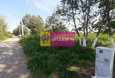 Teren de 5000 mp, în Copăceni - 11