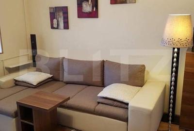 Apartament 2 camere ,Republicii-Caraiman - 10