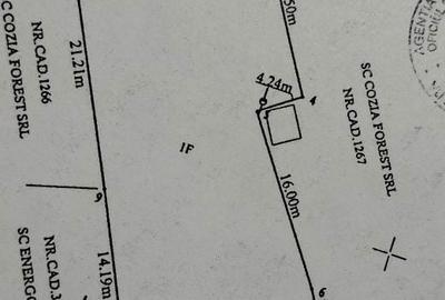 Spațiu comercial, în Jiblea Nouă - 3