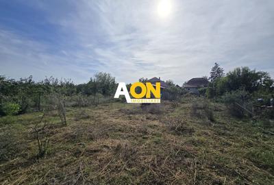 Casă individuală cu 3 camere cu Canalizare în Gura Arieșului - 8