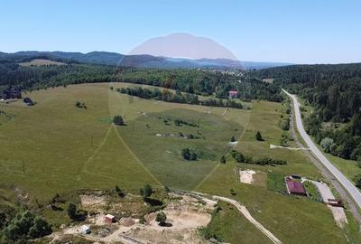 Teren agricol intravilan de 5561 mp, în Păltinoasa - 11