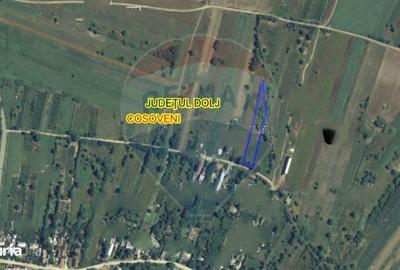 Spațiu comercial, în Coșoveni - 2