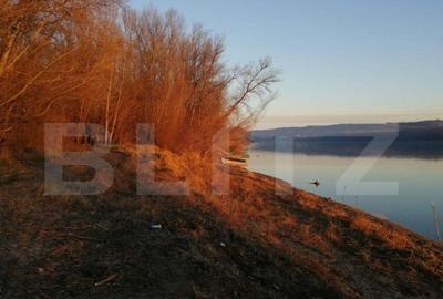 Teren, 120000mp, Insula Calinovat, Moldova Noua - 2