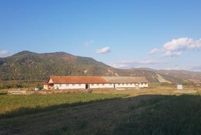 Teren Construcții intravilan de 500 mp, în Cislău - 1