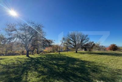 Teren de 2000 mp, în Central - 2