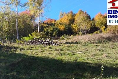 Teren de 3600 mp, în Alexandru cel Bun - 1