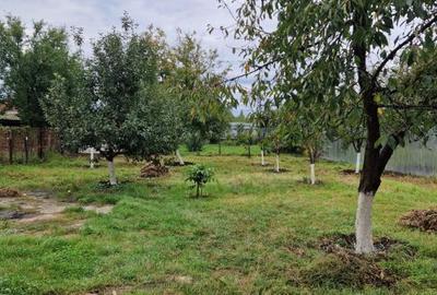 Tautii de Sus, casa caramida,7,5 ari teren - 1