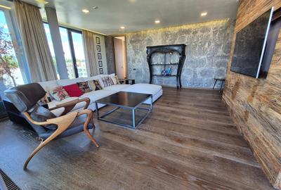 Penthouse cu 2 camere decomandat în Floreasca - 1