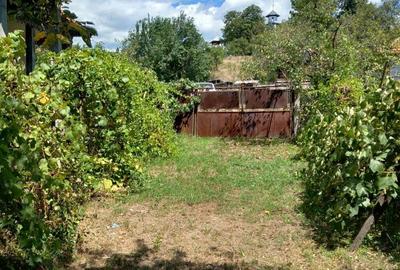 Casă cu 2 camere în Văgiulești - 3