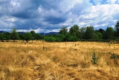 TEREN INTRAVILAN  POLOVRAGI - 2