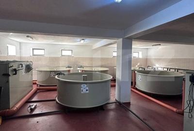 Pensiune/Ferma pescicola la cheie, teren 4000 mp, zona Molid, 0% comision - 4