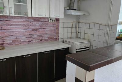 Apartament cu 2 camere decomandat în Remetea Mare - 6