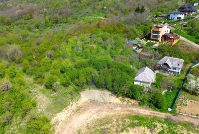 DE VANZARE - Teren intravilan, Baia Mare, zona Miron Costin - 2