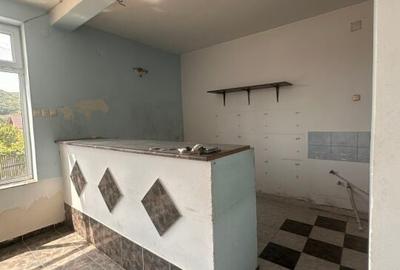 CASA/SPATIU COMERCIAL - GENUNENI - 7