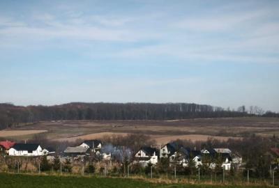 Casă cu 5 camere cu Teren 1792 Mp în Mitocu Dragomirnei - 16