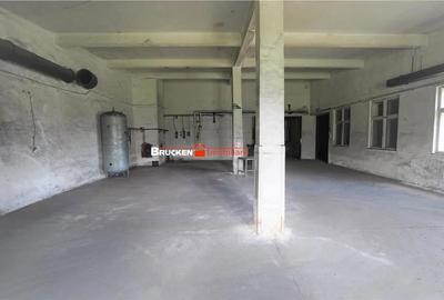 Spațiu comercial, de 1,500 mp, în Vașcău - 9
