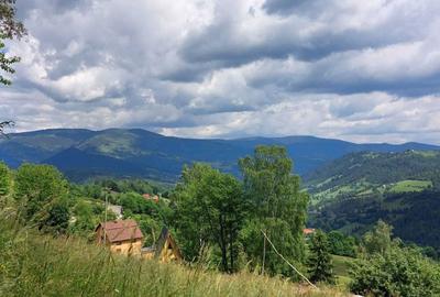 Teren de 2263 mp, în Horea - 6