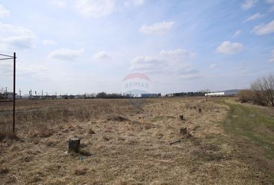 Teren Construcții intravilan de 2900 mp, în Șcheia - 2