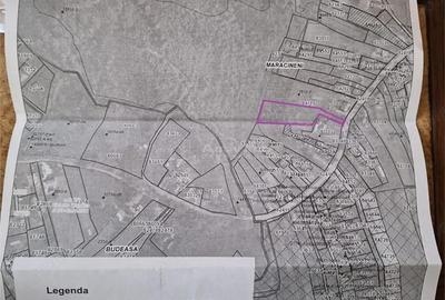 Teren de 2351 mp, în Mărăcineni