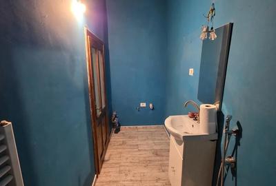 Garsonieră semidecomandată în Iosefin - 6