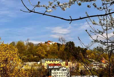 Casă individuală cu 2 camere cu Canalizare în Dealul Cetății - 1