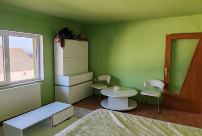 Casa 7 camere libera la vanzare SATU NOU - 7