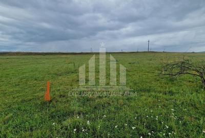 Teren Construcții intravilan de 450 mp, în Partoș - 3