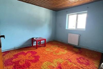 Brancoveanu-Nitu Vasile | Casa Individuala- D+P+1+M - 11