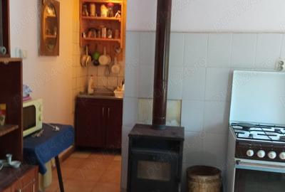 Casă cu 2 camere în Izvoarele (Livezile) - 3