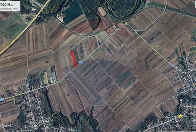 Teren Construcții intravilan de 7000 mp, în Stoenești (Florești-Stoenești) - 6