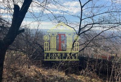 Teren Barnova  ! - 5