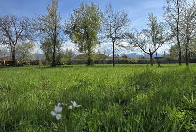 Teren de 1700 mp, în Recea - 6
