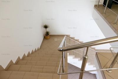 Spatiu de inchiriat, 809mp, amenajat, Tatarasi Sud - 10