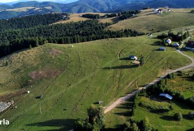 Spațiu comercial, în Paltin - 3