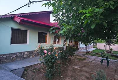 Casa tip parter zona Dealul Viei - 12