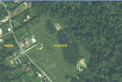 Teren Construcții intravilan de 748 mp, în Bârnova - 1